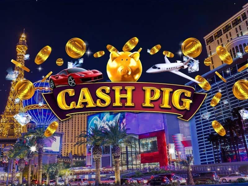 Cash Pig