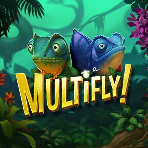 Multifly!