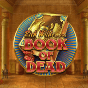 Book of Dead Play'n GO logo