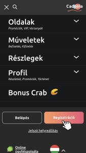 A weboldal felkeresése