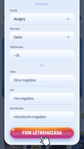 Alapadatok megadása