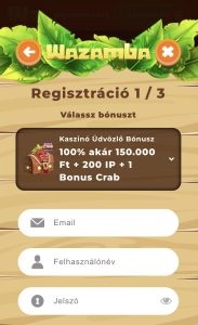 Alapvető adatok megadása