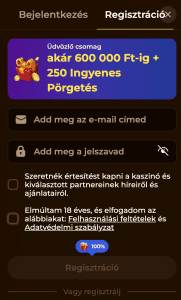 Űrlap kitöltése alapvető adatokkal