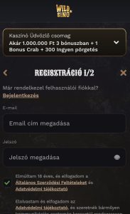 E-mail-cím és jelszó megadása