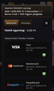 Befizetés és játék