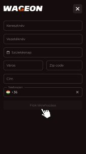 Személyes adatok beírása